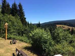 Terrain de l’hébergement 