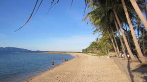 A beach with palm trees and a clear sky.