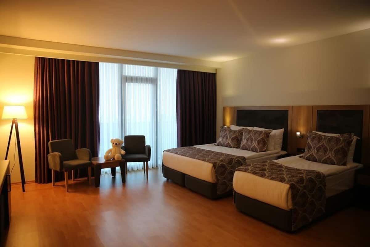 1 chambre, minibar, bureau, chambres insonorisées
