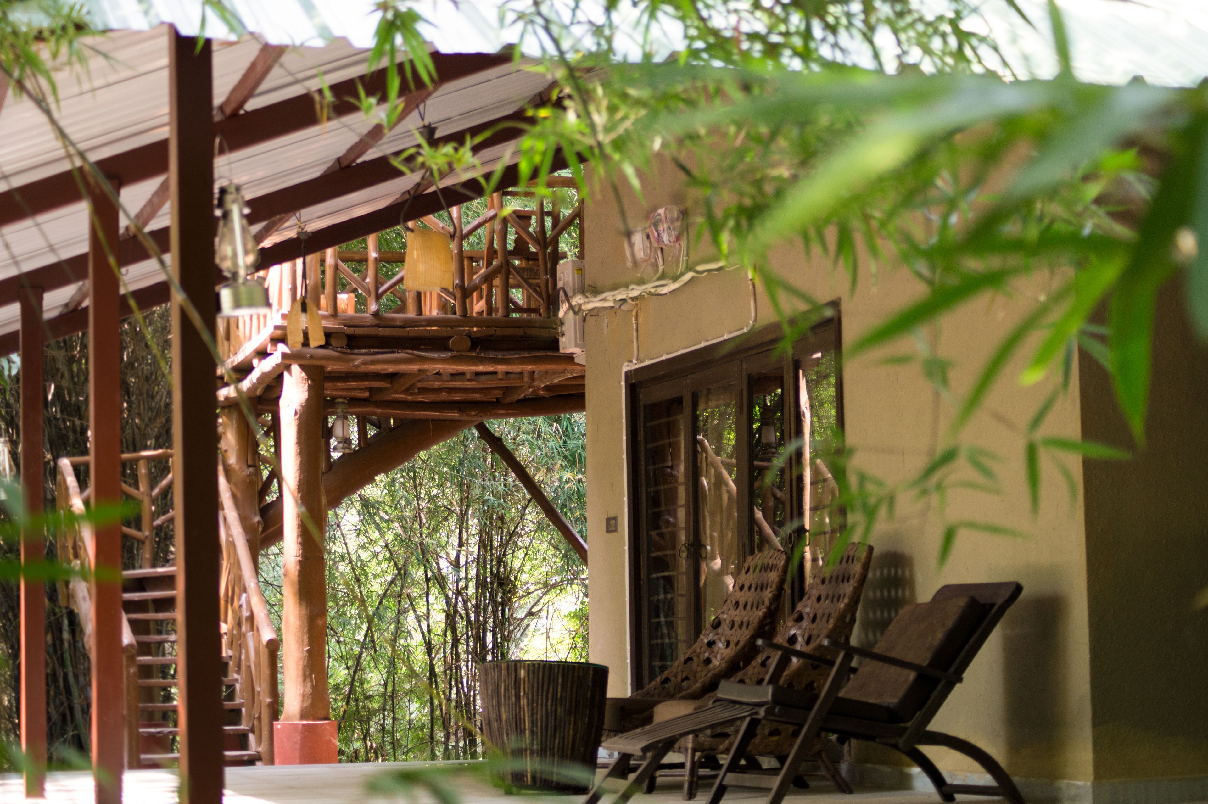 A wooden structure with a bamboo garden view, a wooden deck, and two lounge chairs.