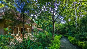 A lush garden with a pathway leading to a building with a tiled roof. - Syna Tiger Resort - Bandhavgarh (Manpur)