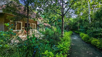 Habitación | Escritorio, camas extra y ropa de cama