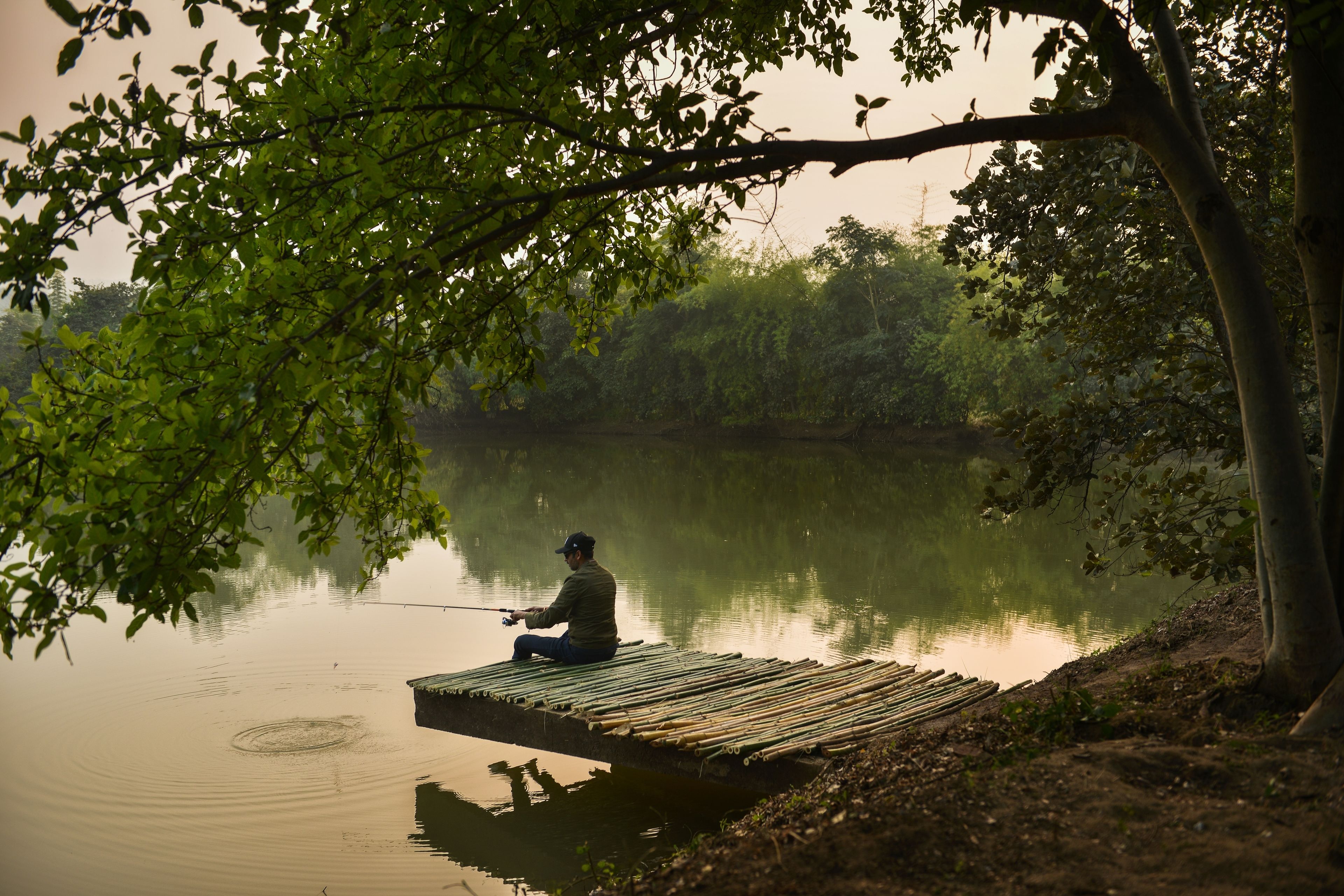 A person fishing from a wooden dock by a calm lake, surrounded by trees.