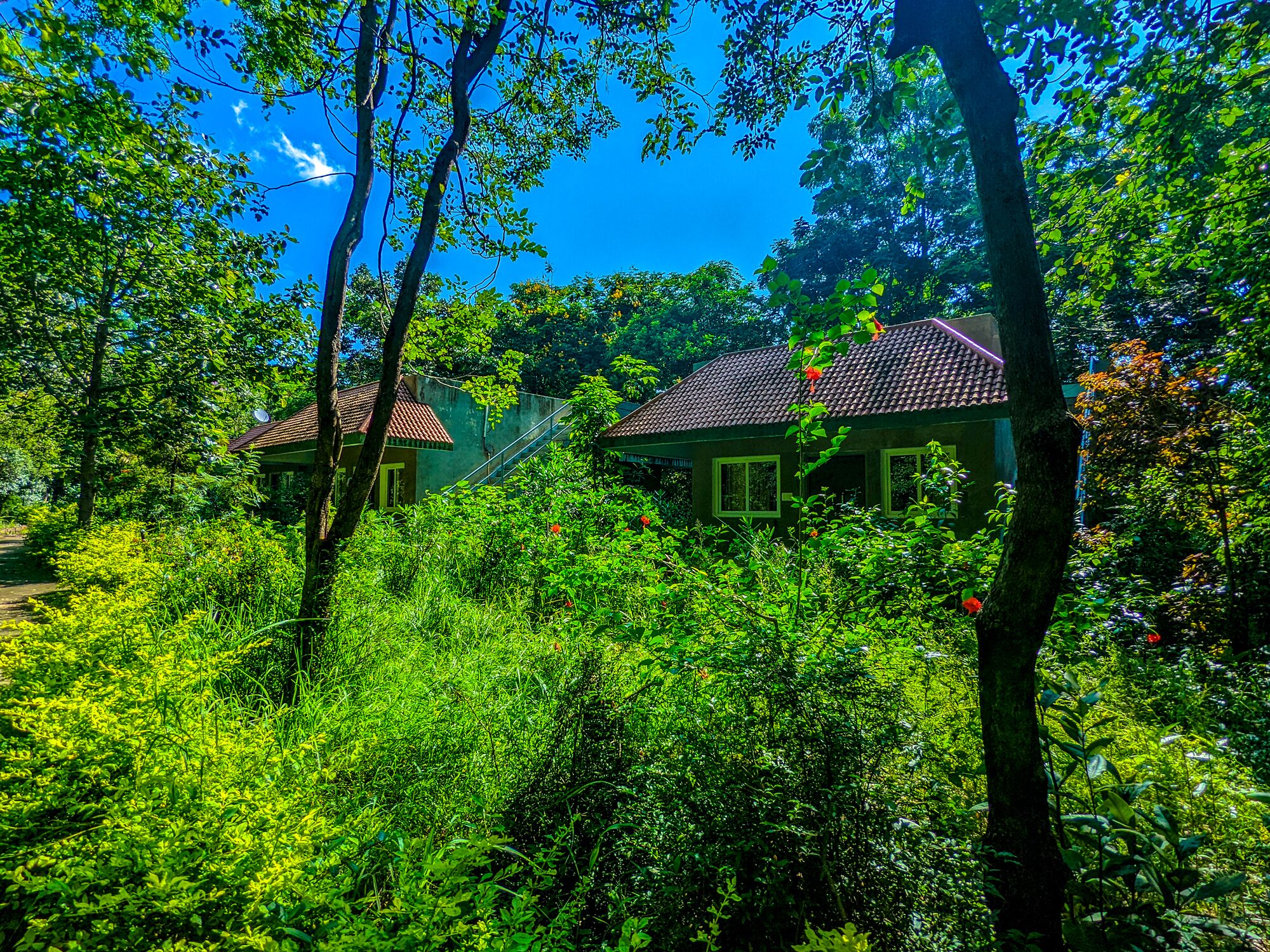 Tribal Cottages