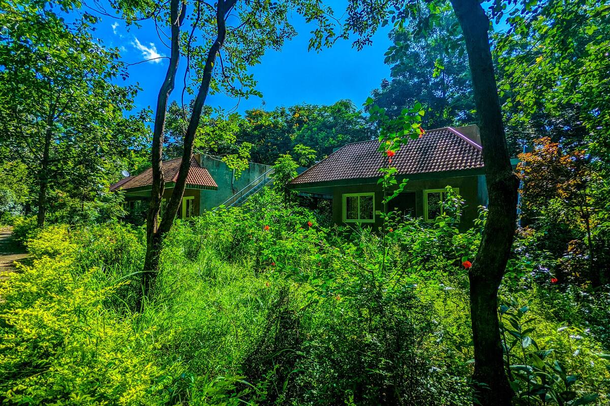 Ein Haus, umgeben von üppiger Vegetation und Bäumen.