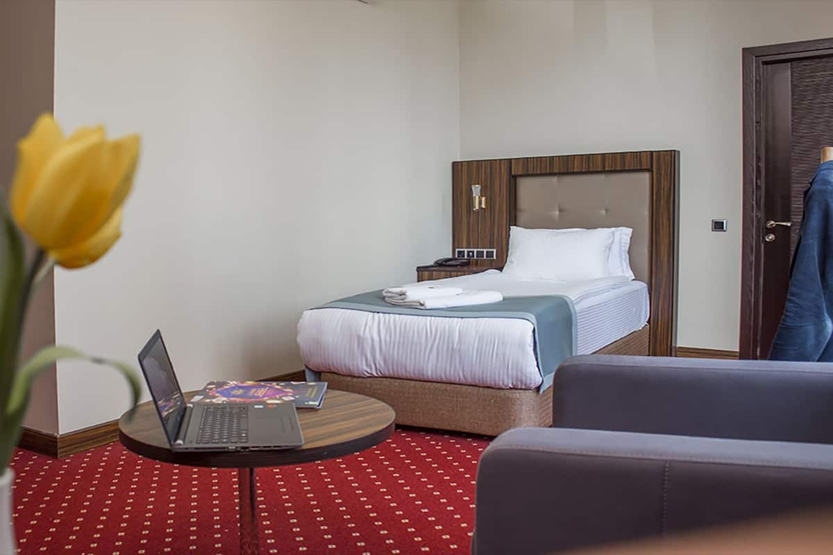 Economy Room | Minibar, soundproofing, iron/ironing board (on request), WiFi (free)