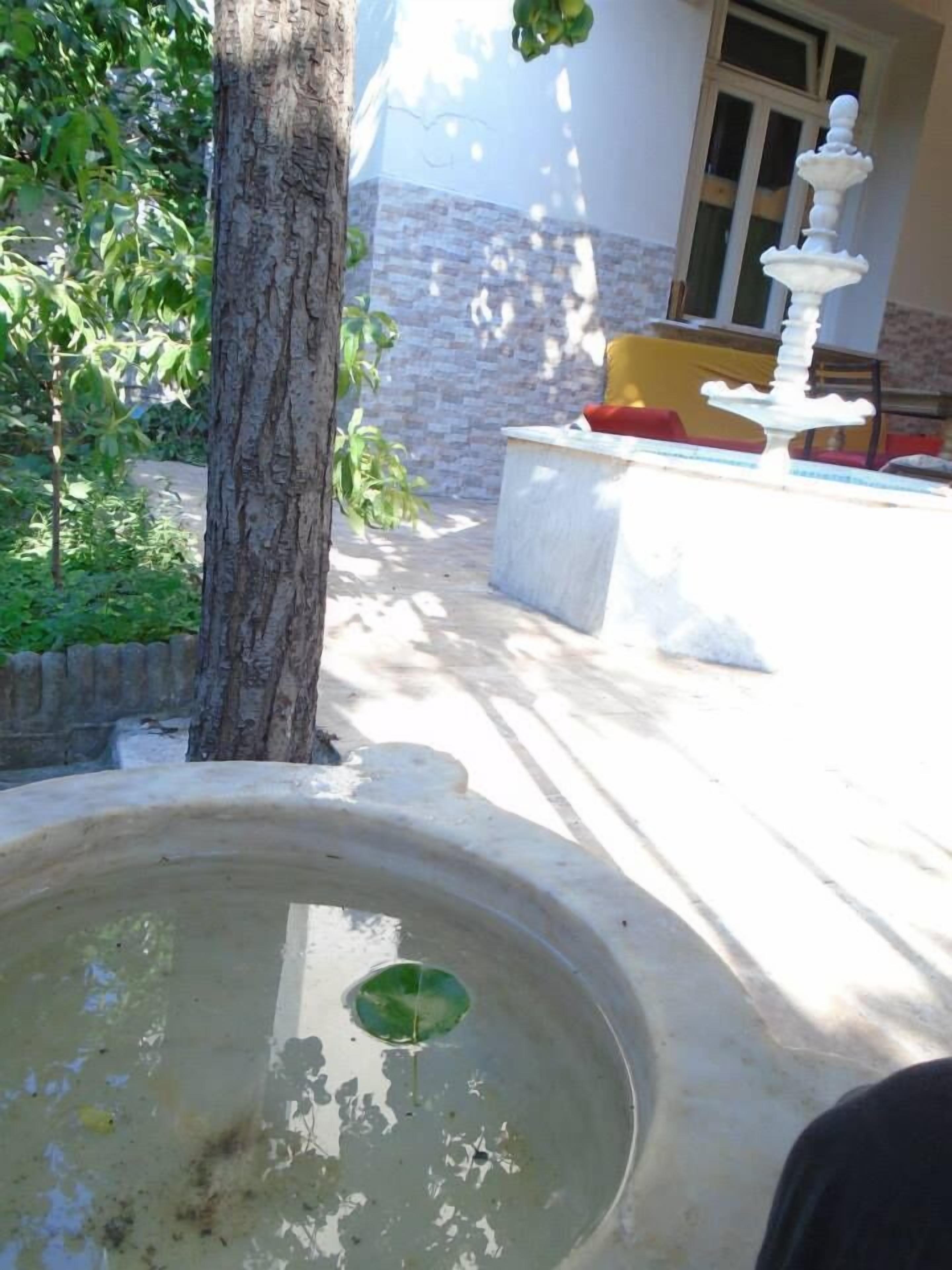 Foto - Lotus Garden Hostel