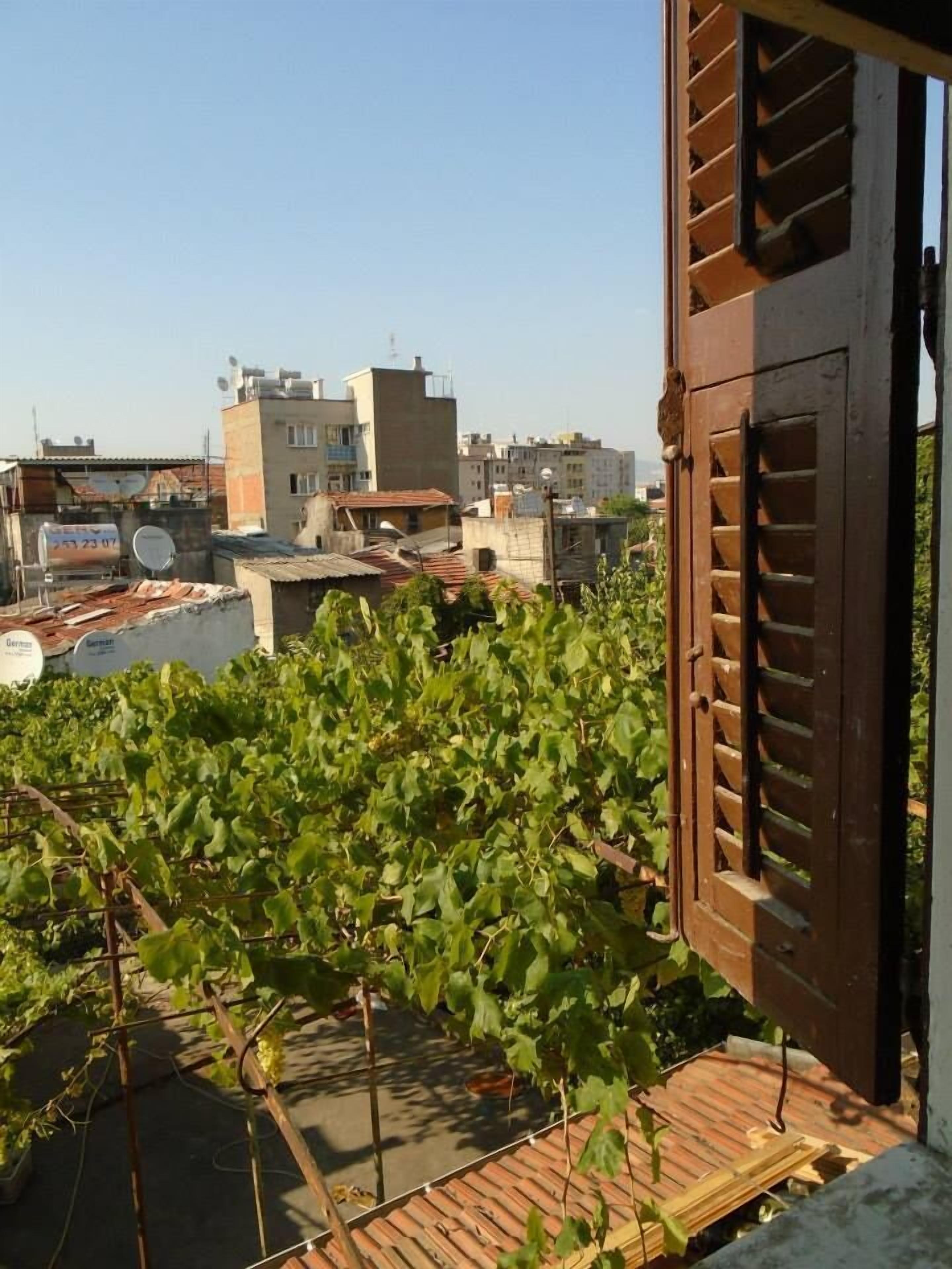 Photo - Lotus Garden Hostel Izmir