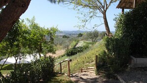 A pathway leading through a garden with a view of distant hills. - Fattoria Albanese Labardi (Lastra a Signa)