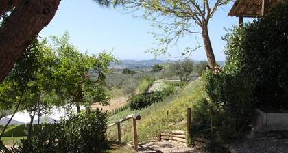 Fattoria Albanese Labardi