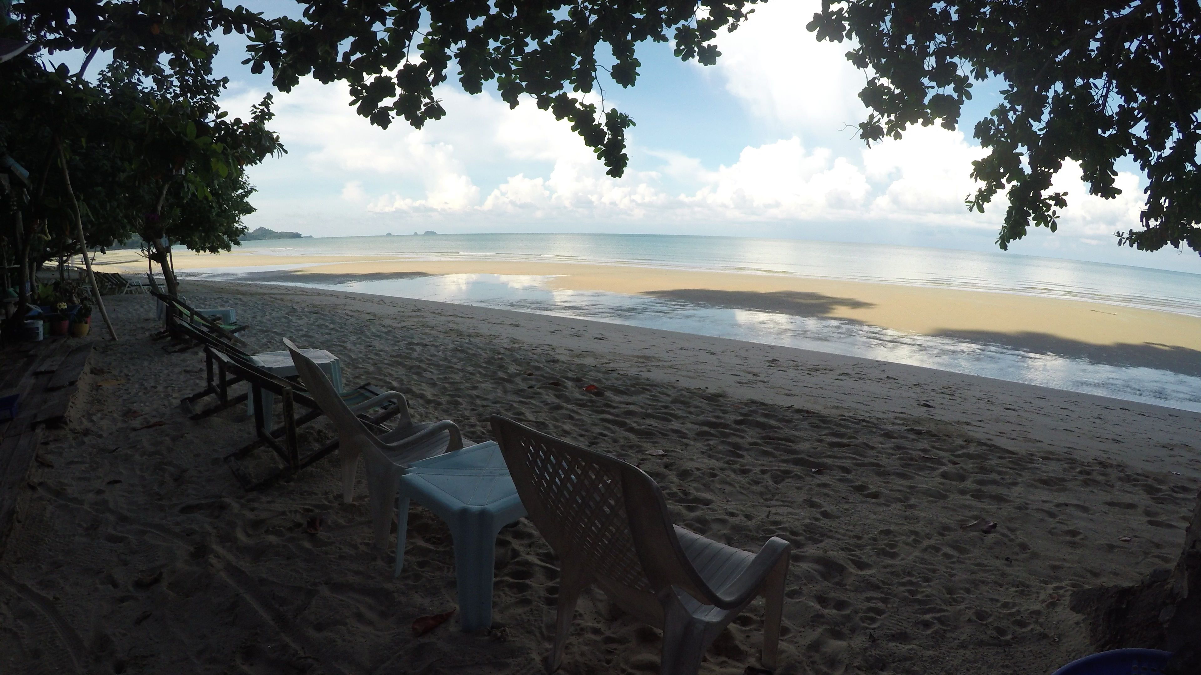 A beach with a row of plastic chairs and tables under a tree, overlooking the sea.