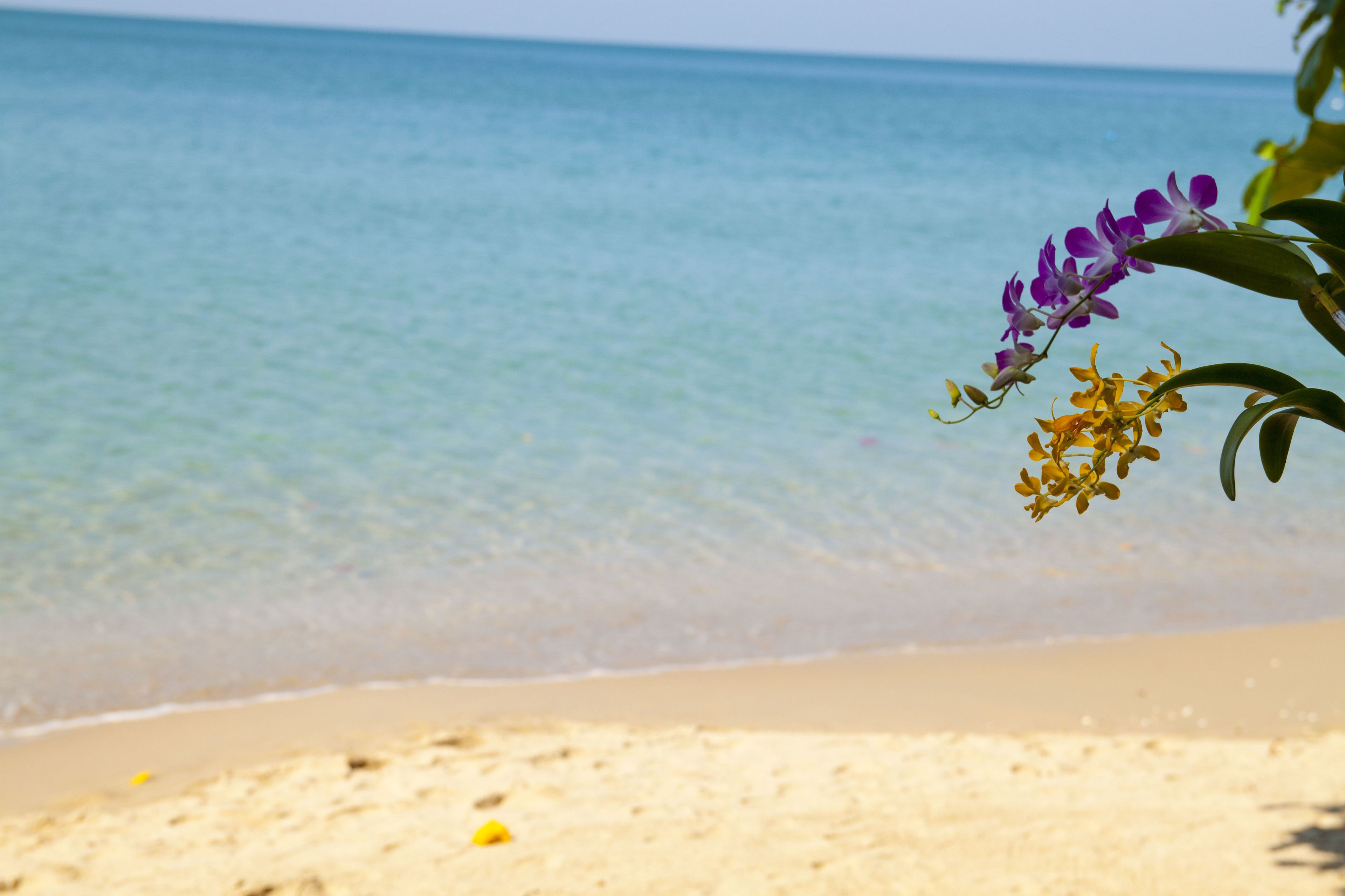 A beach with clear water and a sandy shore.