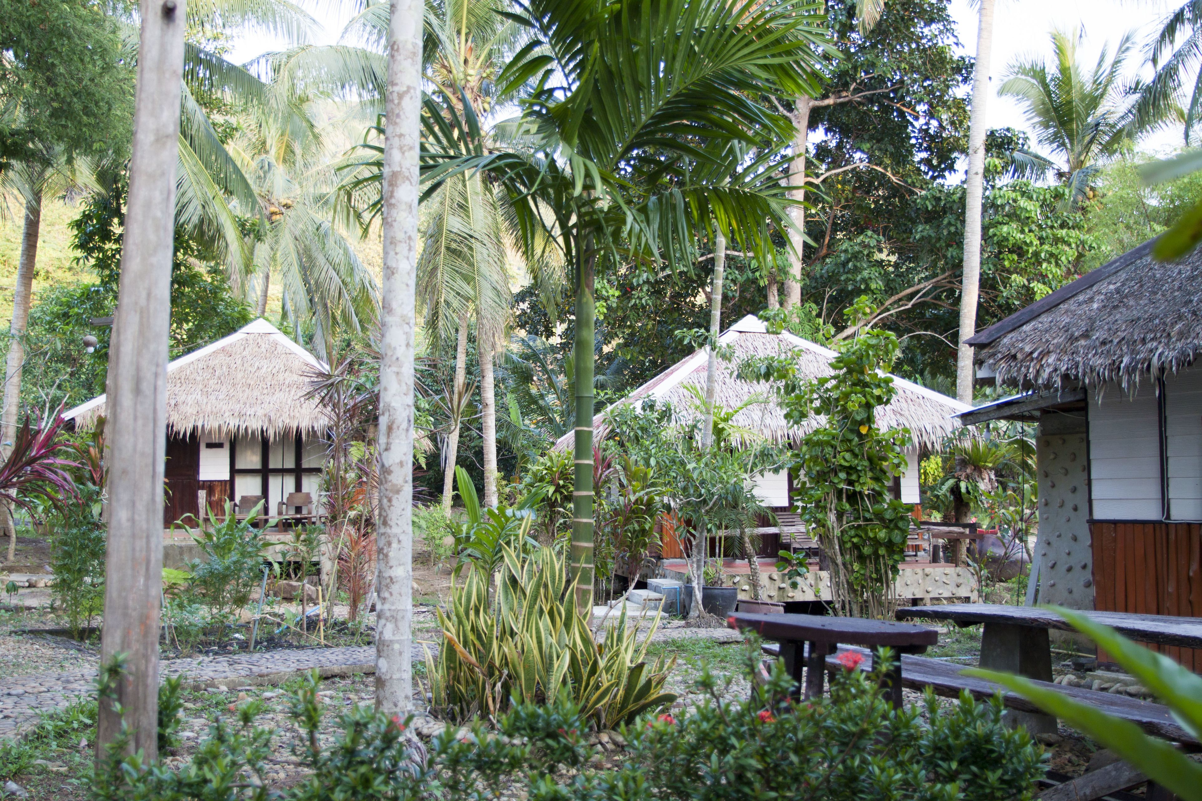 A tropical garden with thatched-roof huts, wooden benches, and lush greenery.