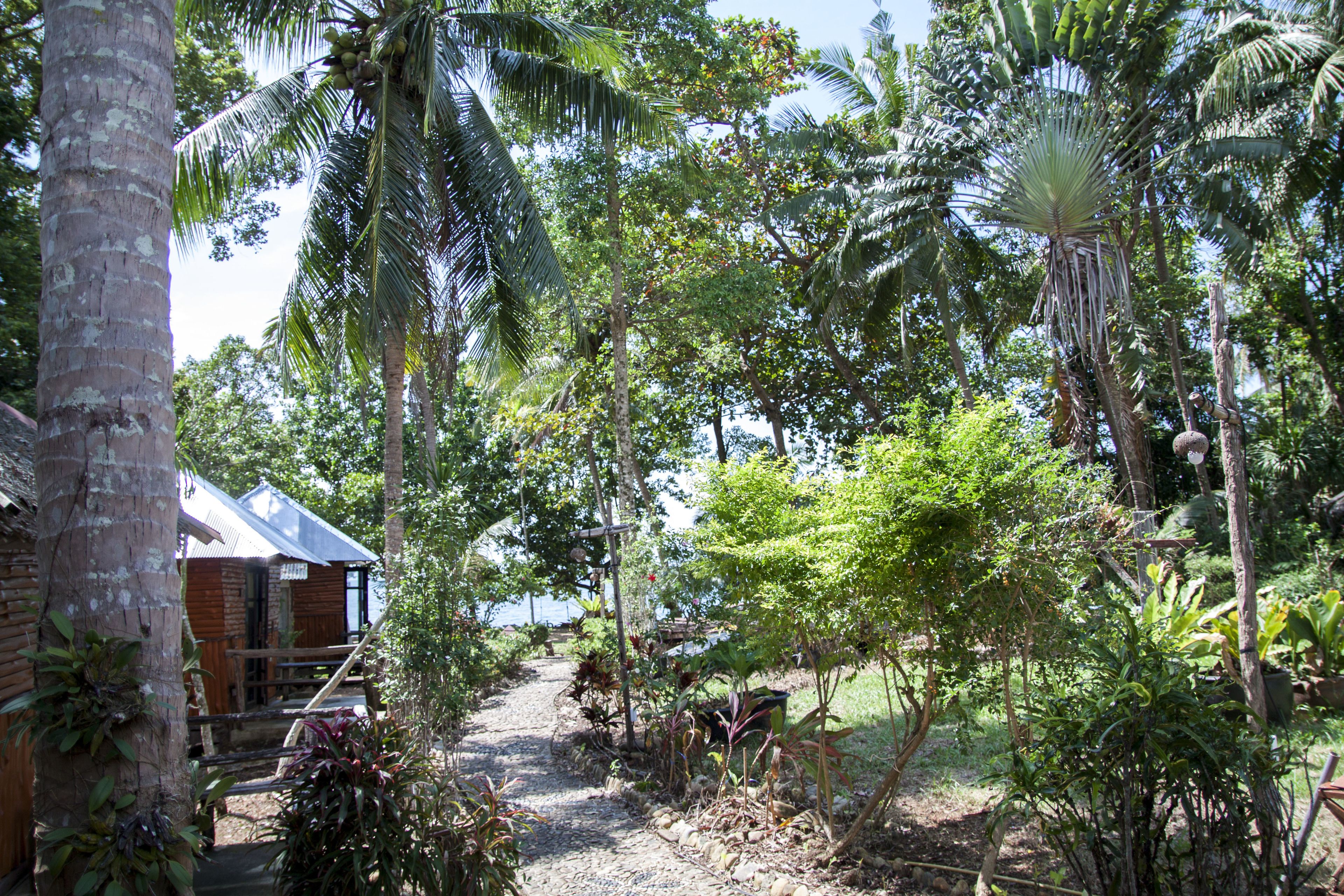 A rustic wooden building with a gravel path leading to it, surrounded by lush tropical vegetation.