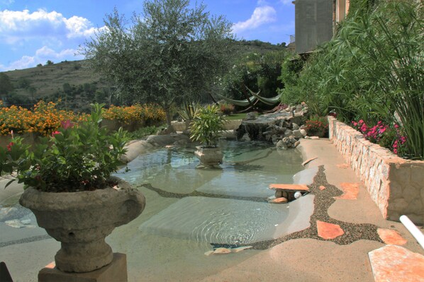 Outdoor pool, pool loungers