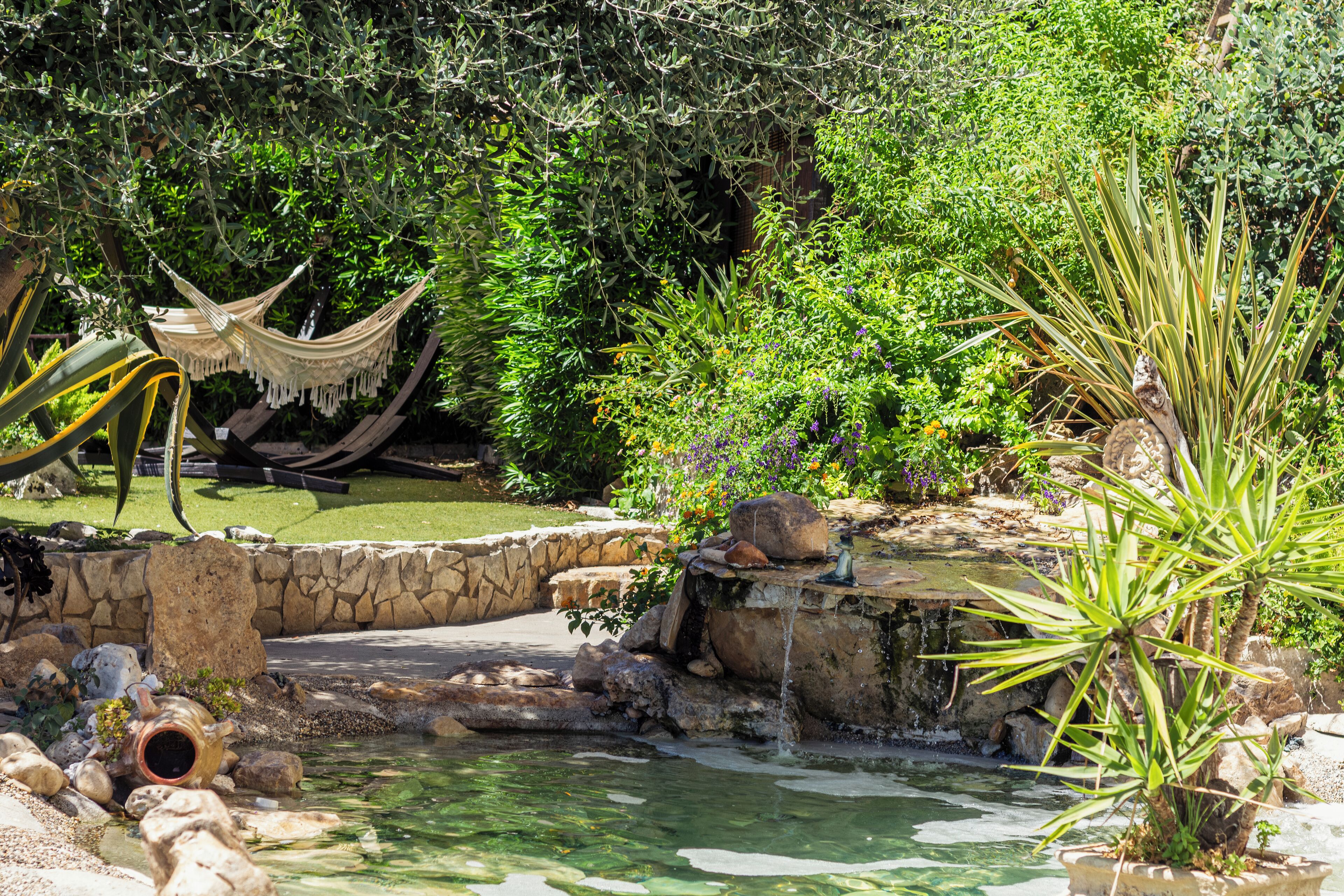 A garden with a small pond, a hammock, and various plants.