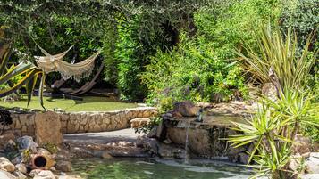 A garden with a small pond, a hammock, and various plants.