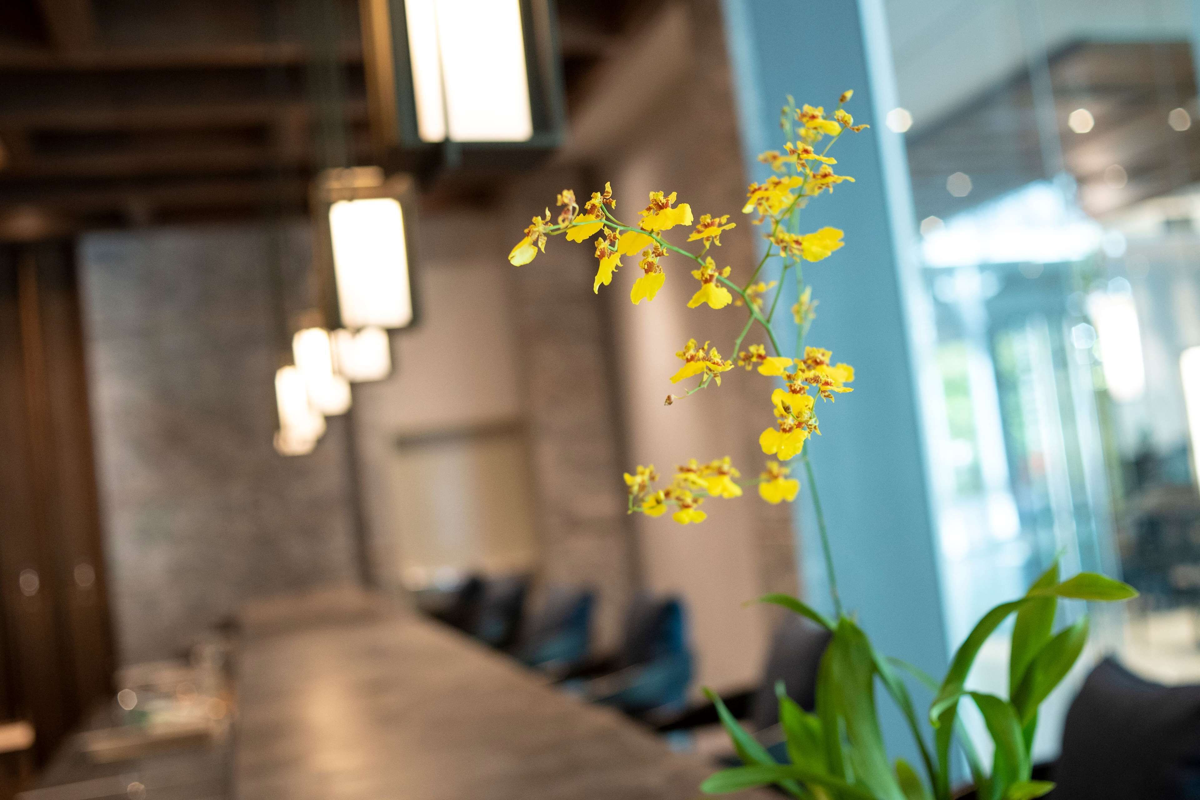 A modern interior with a long table and chairs, a potted plant with yellow flowers, and a blurred background suggesting a spacious area.