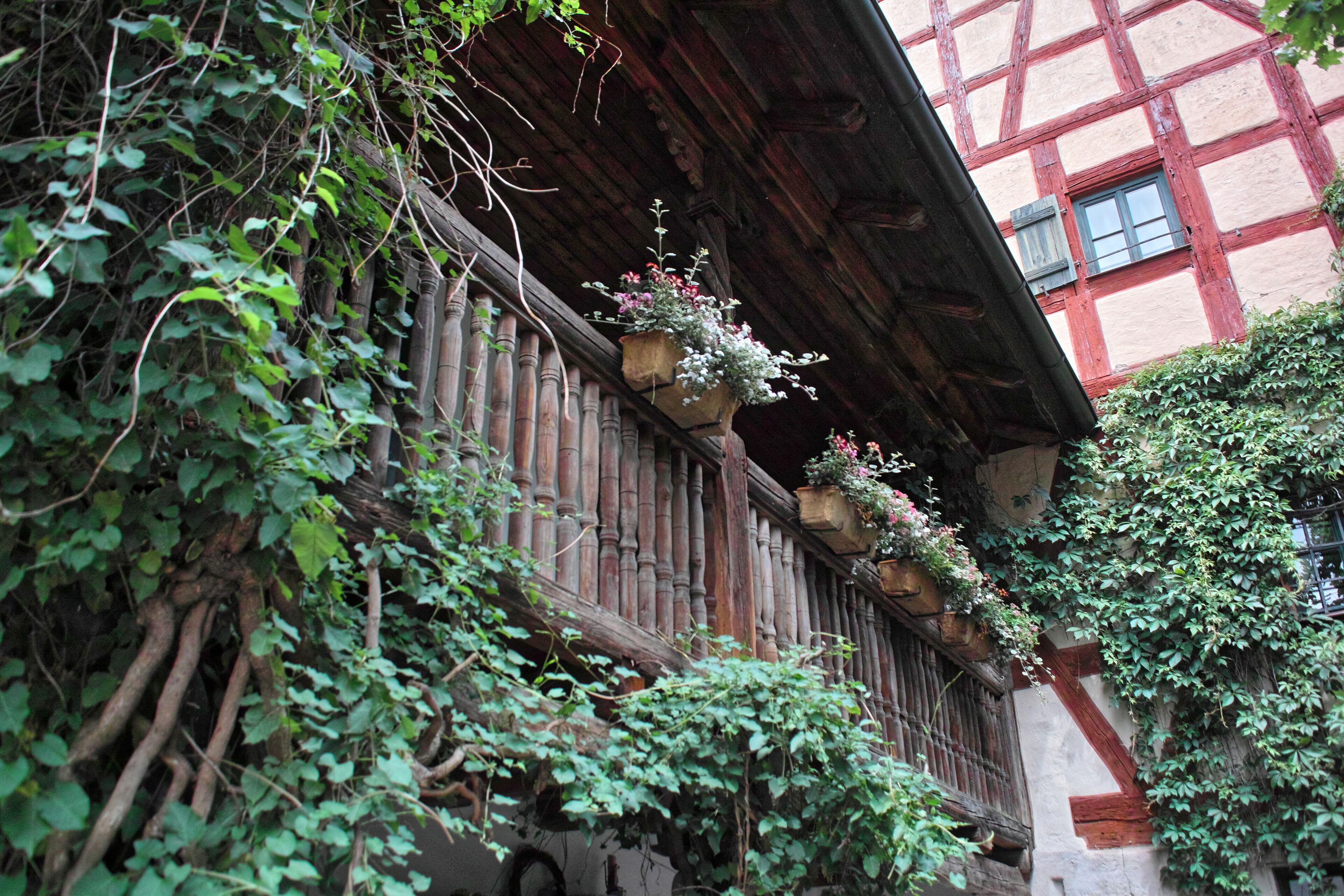 花园