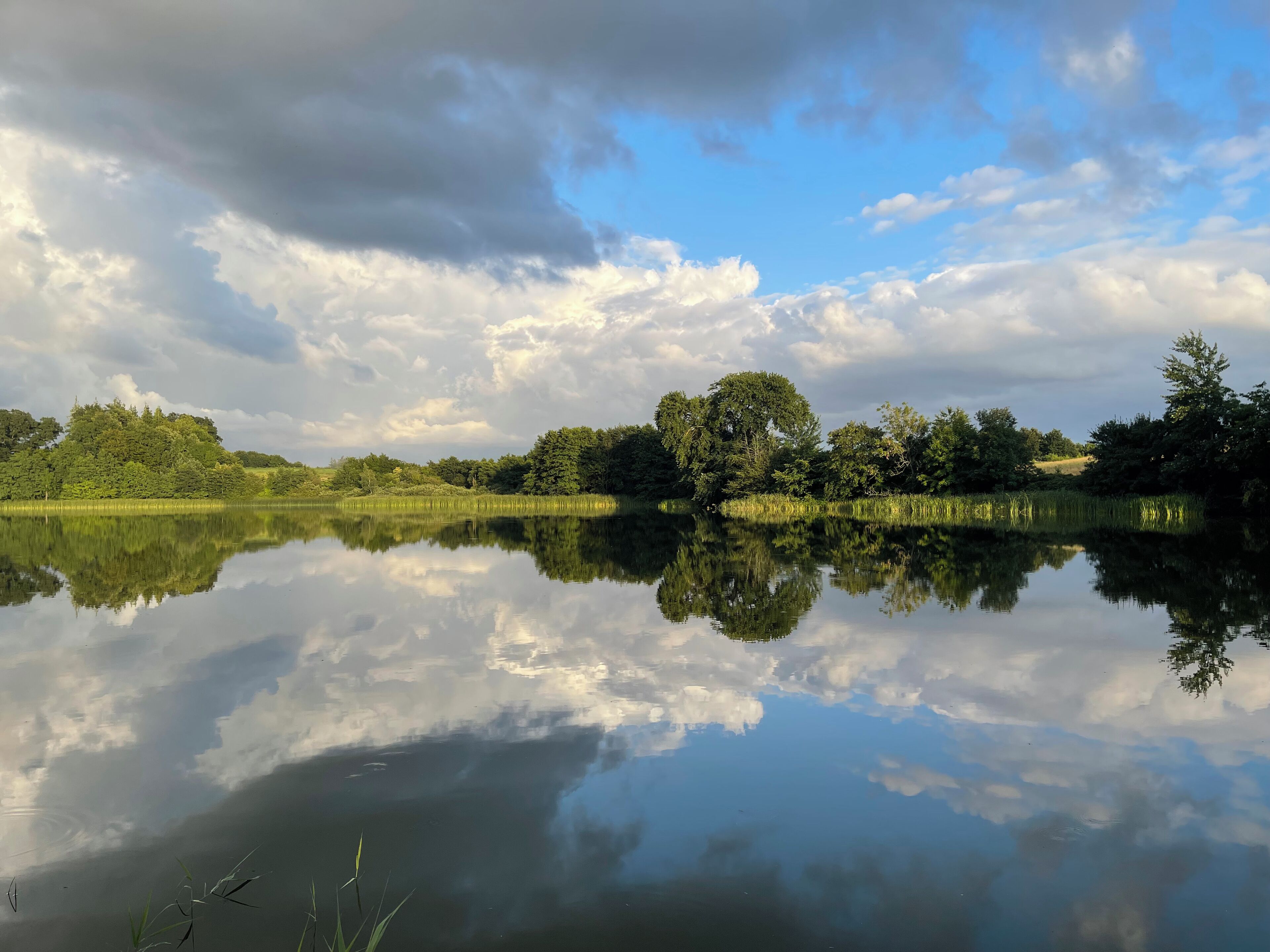 Un lago tranquilo con reflejos de árboles y cielo.