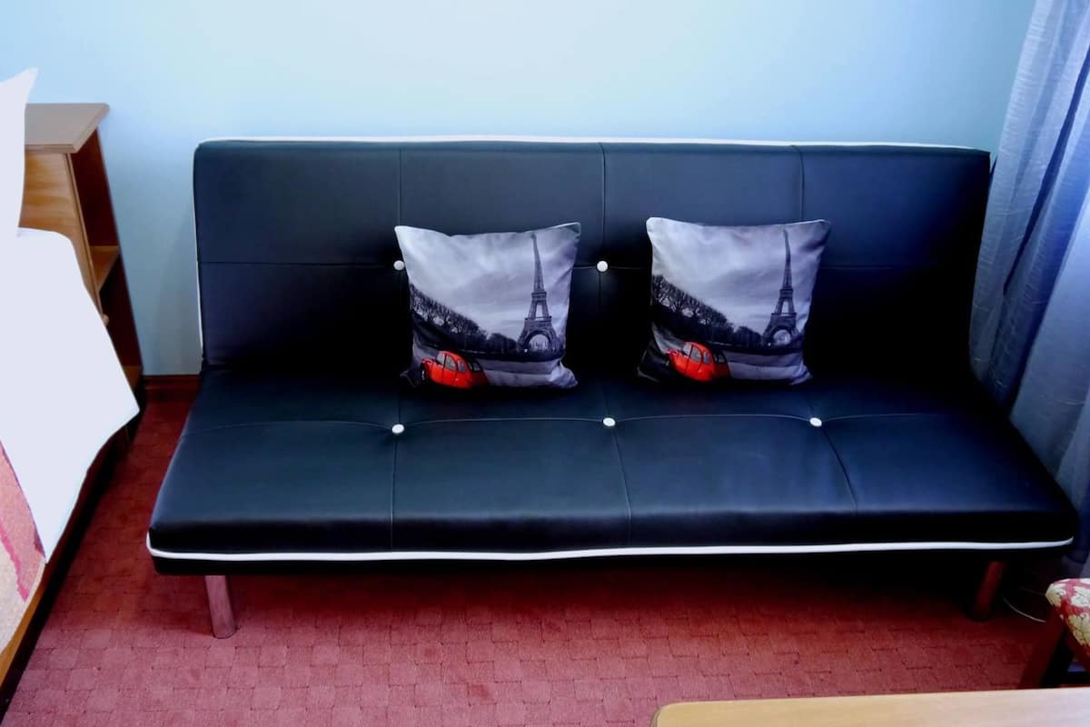 Single Room | Minibar, in-room safe, desk, soundproofing