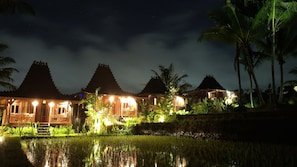Front of property – evening/night - Villa Neyang (Ubud)