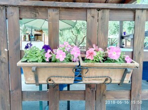 Garden - Casadolcecasalatina (Latina)