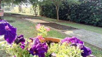 Children's activities