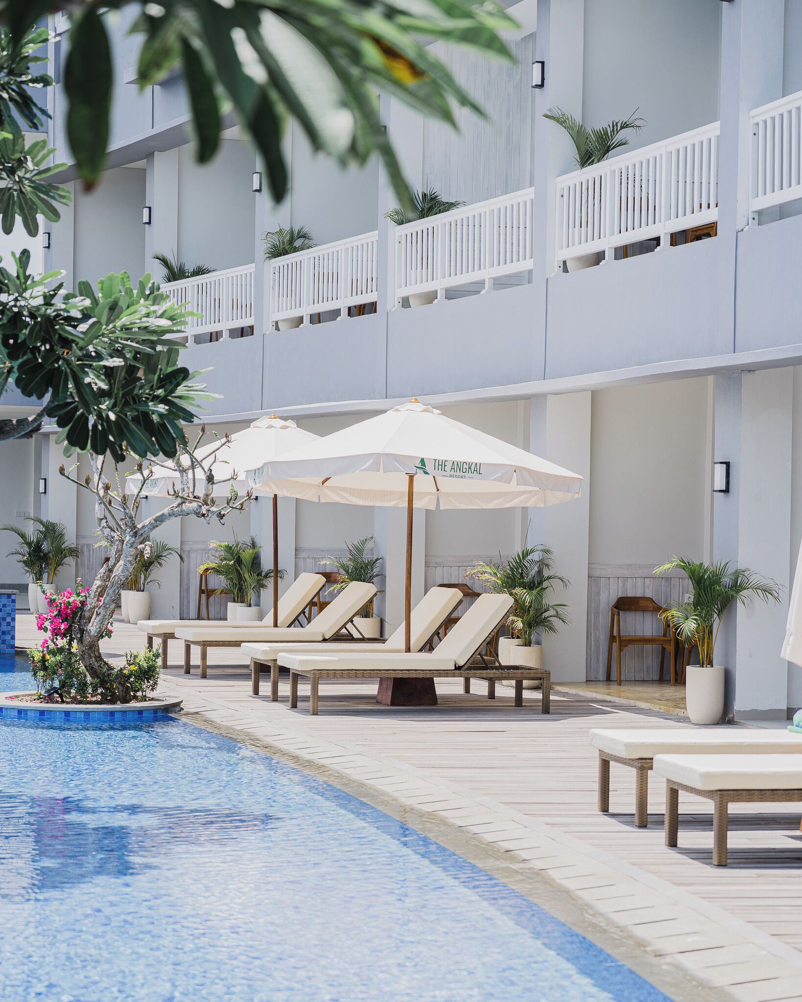 Un espace aménagé au bord de la piscine, avec des chaises longues et des parasols, entouré de plantes en pot et bordé d’un bâtiment doté de balcons.