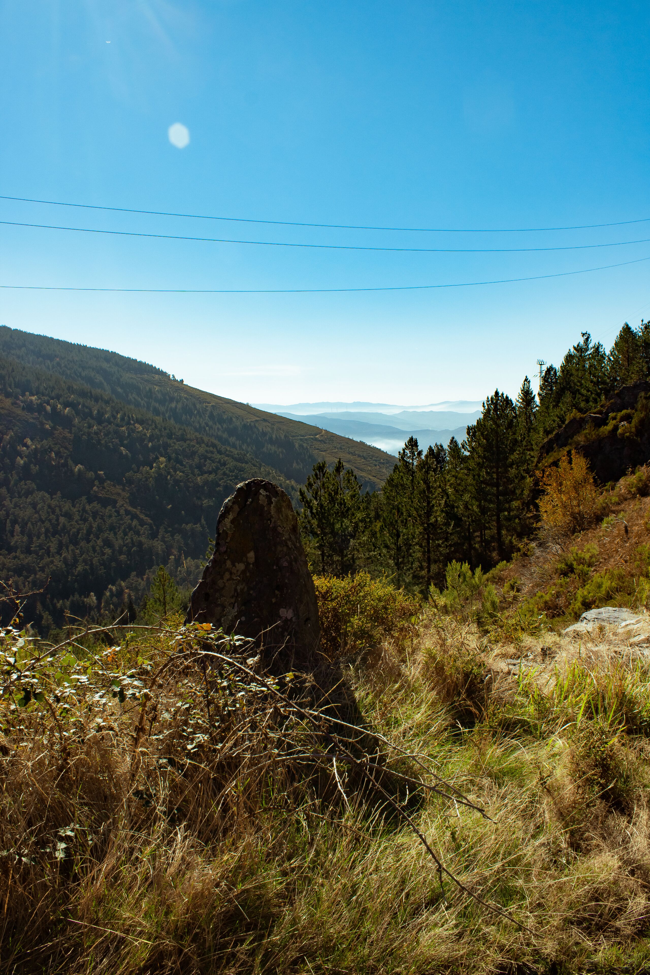 Foto - Casa do Ribeirinho