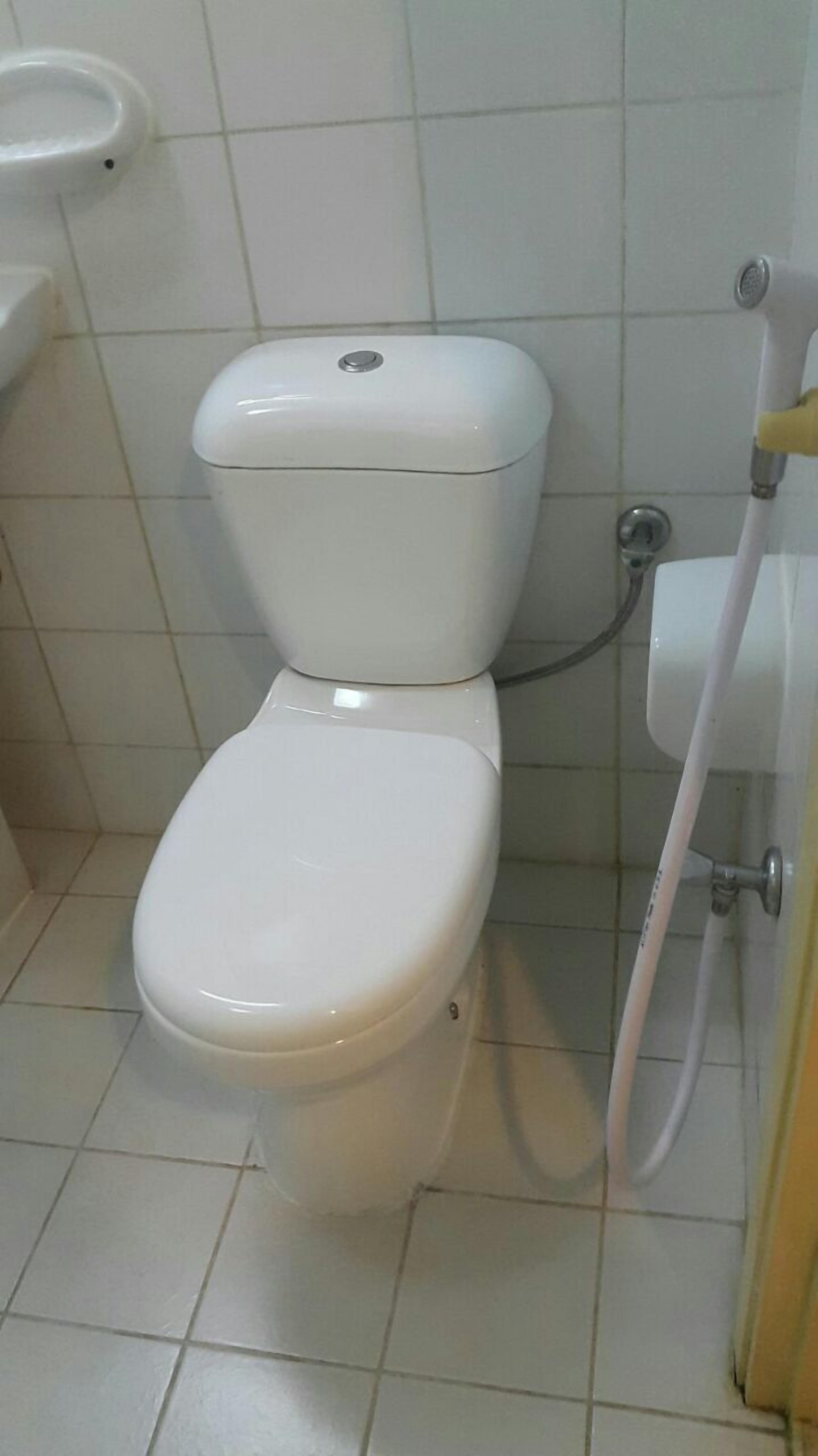 Eine Standardtoilette mit Tank und Bidetanschluss, vor einer gefliesten Wand in einem Badezimmer.