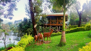 A wooden structure with a balcony overlooking a lake, surrounded by lush greenery and two statues of deer. - Bunyonyi Overland Resort (Kabale)