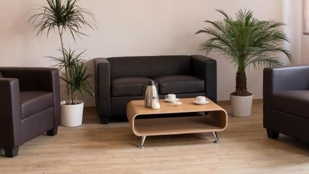 A modern living room with a dark brown sofa, two armchairs, a wooden coffee table, and two potted plants. - Sefano Seminarfabrik Nossen (Nossen)