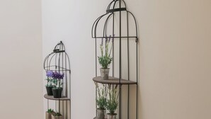 Deux étagères métalliques fixées au mur, sur lesquelles sont posées des plantes en pot.