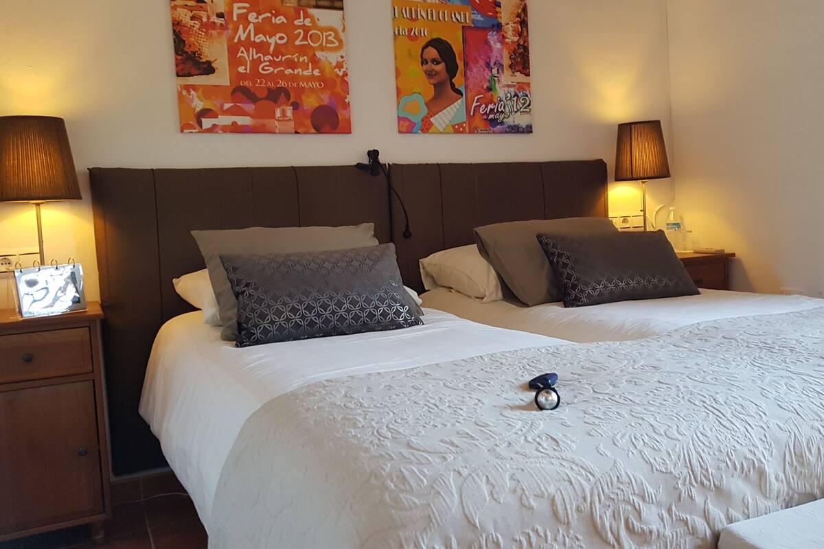 Hypo-allergenic bedding, free WiFi, bed sheets