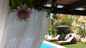 Outdoor pool, pool umbrellas, pool loungers - Bed & Breakfast Casa don Carlos (Alhaurin el Grande)