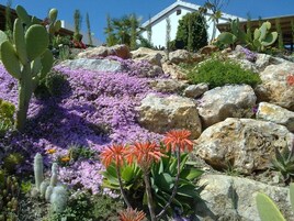 Jardines del alojamiento