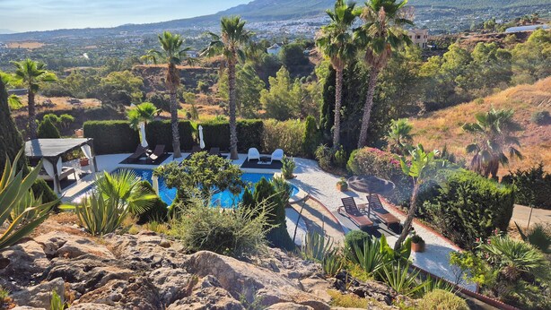 Un espace piscine agrémenté de chaises longues et de parasols, entouré de plantes tropicales et offrant une vue sur une ville au loin.
