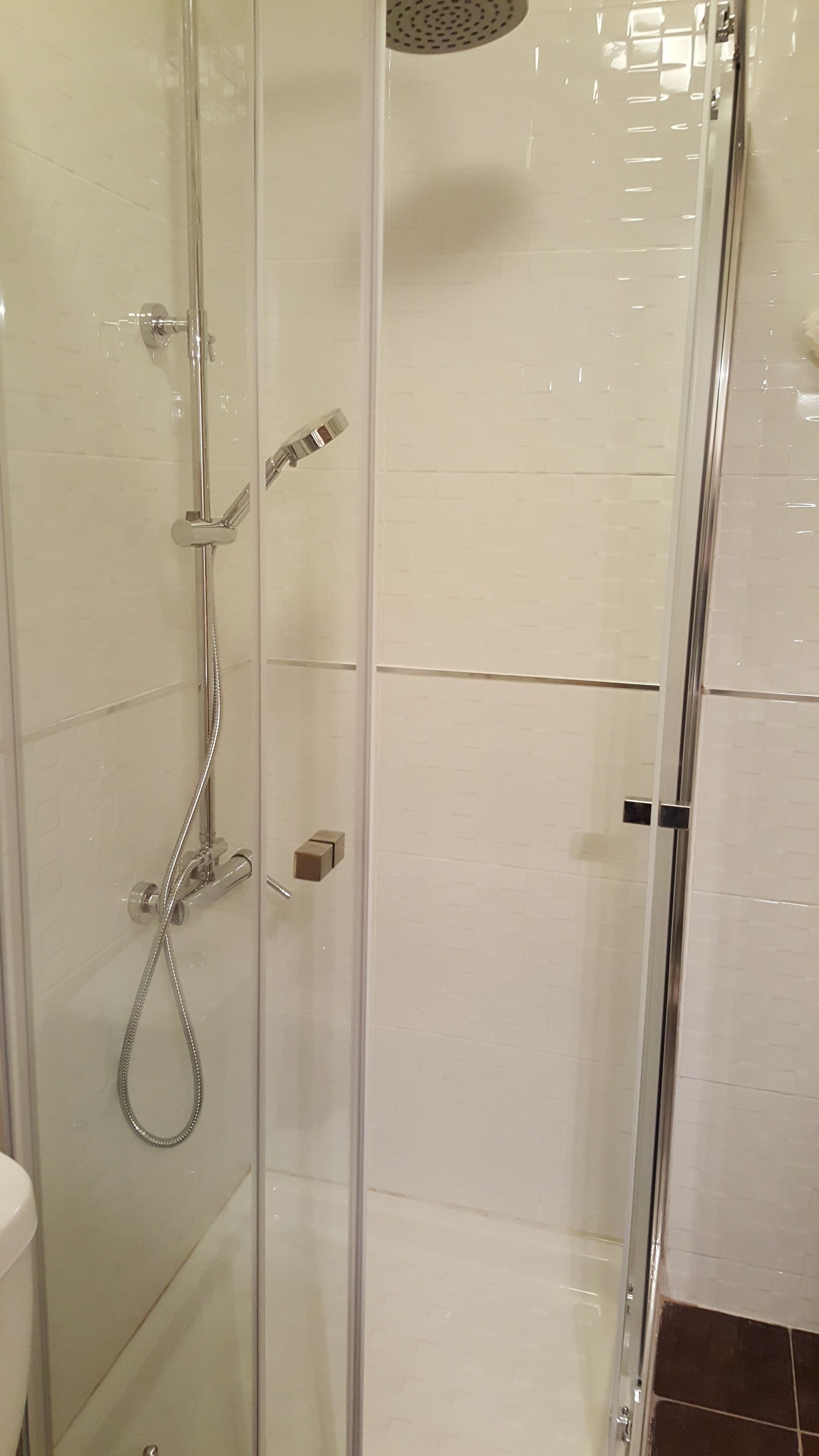 Luxury Loft, 1 Bedroom, Balcony | Bathroom shower