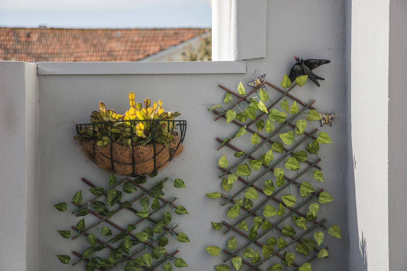 A wall-mounted plant arrangement with a hanging basket of yellow flowers and a climbing vine structure.