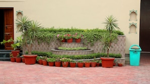 A courtyard with potted plants arranged in tiers, a wooden fence, and a trash bin. - Vijaigarh kothi (Varanasi)
