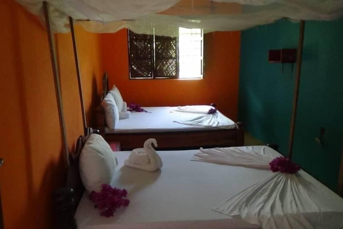 Habitación básica con 1 cama doble o 2 individuales | Camas supletorias