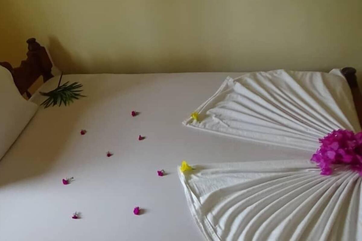 Habitación individual básica | Wifi gratis y decoración individual