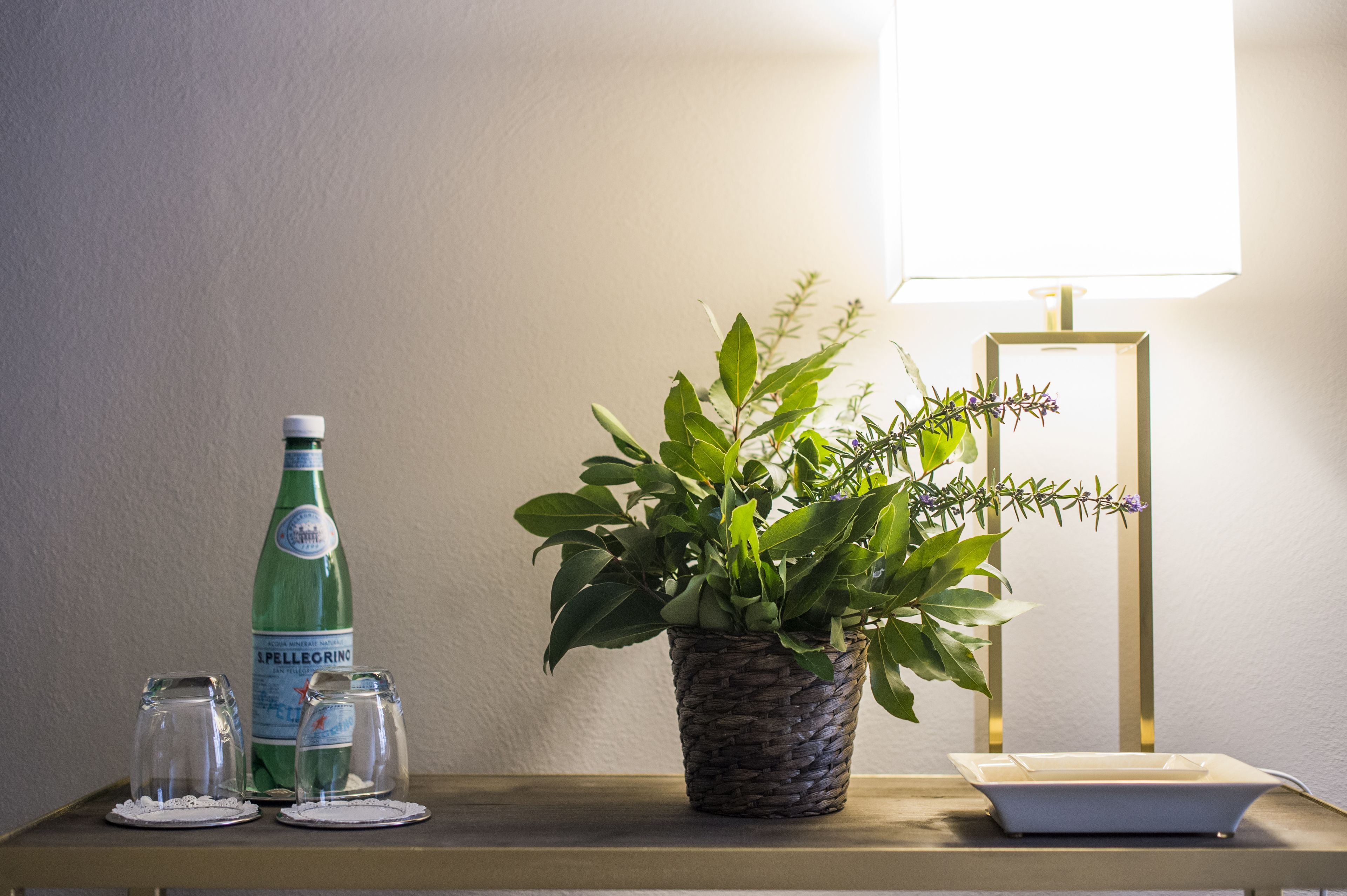 Foto - Palazzo del Papa