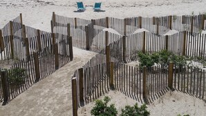 På stranden og solsenger