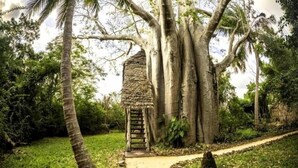 A pathway leading to a thatched-roof structure surrounded by large trees. - Chole Mjini (Chole Island)