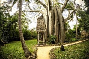 Pemandangan dari kamar