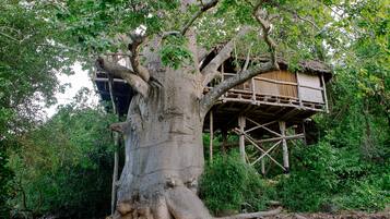 Casa de árbol de luna de miel, 2 habitaciones (Moja) | Caja de seguridad en la habitación y decoración personalizada