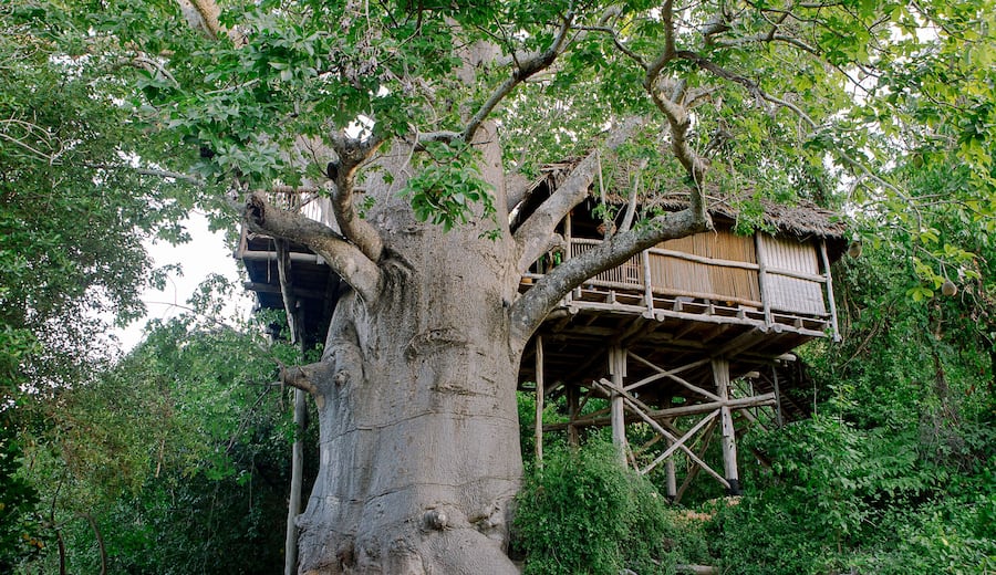 Honeymoon tree house at Chole Mjini