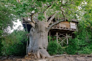 Rumah Pohon Bulan Madu, 2 kamar tidur (Moja) | Brankas dan didekorasi berbeda-beda